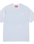 06076-2